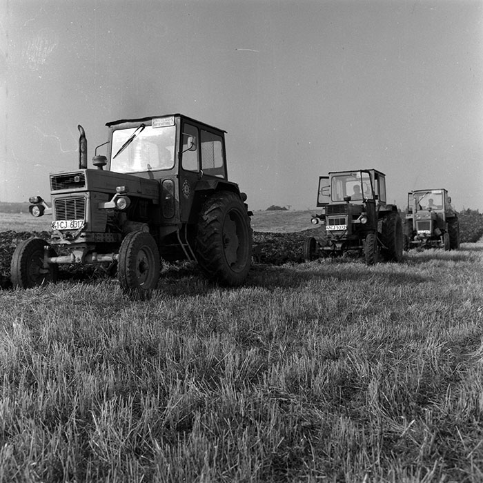 minerva_Agrar_c1_c1r4_018