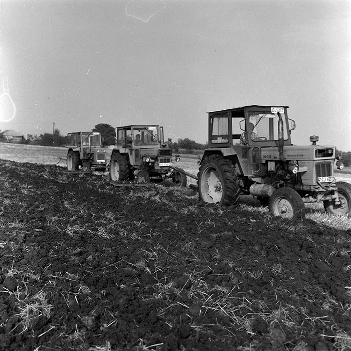 minerva_Agrar_c1_c1r4_019