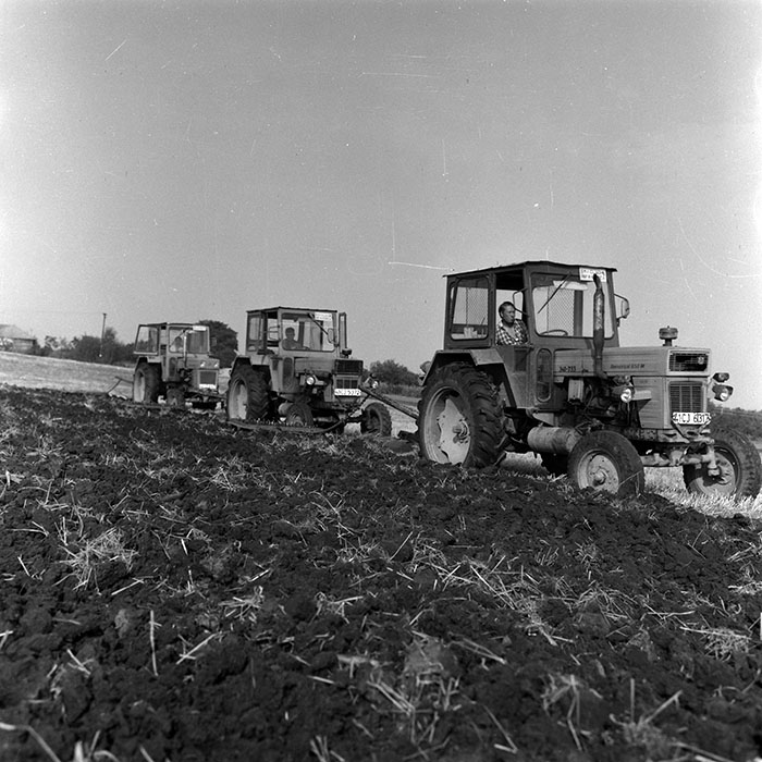 minerva_Agrar_c1_c1r4_020