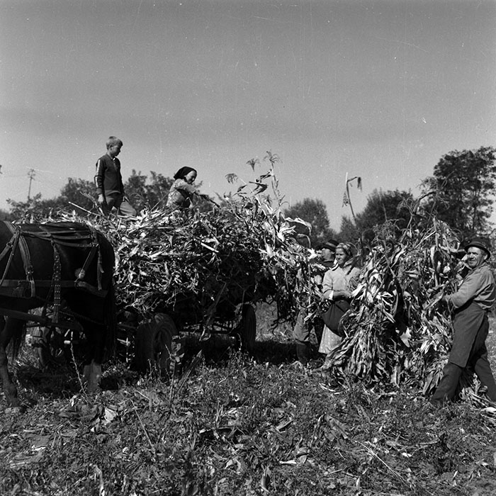 minerva_Agrar_c1_c1r4_023