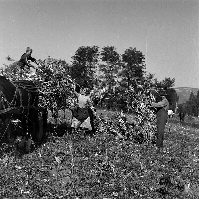 minerva_Agrar_c1_c1r4_024