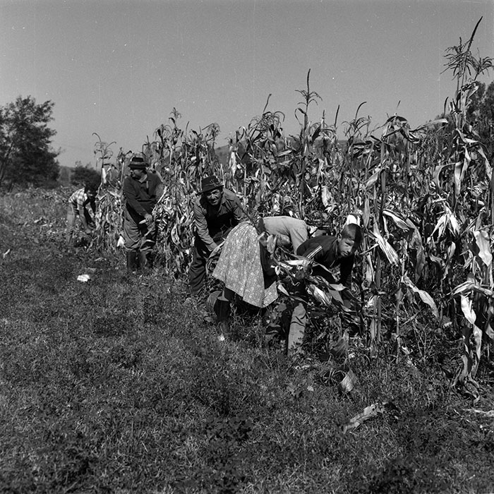 minerva_Agrar_c1_c1r4_025