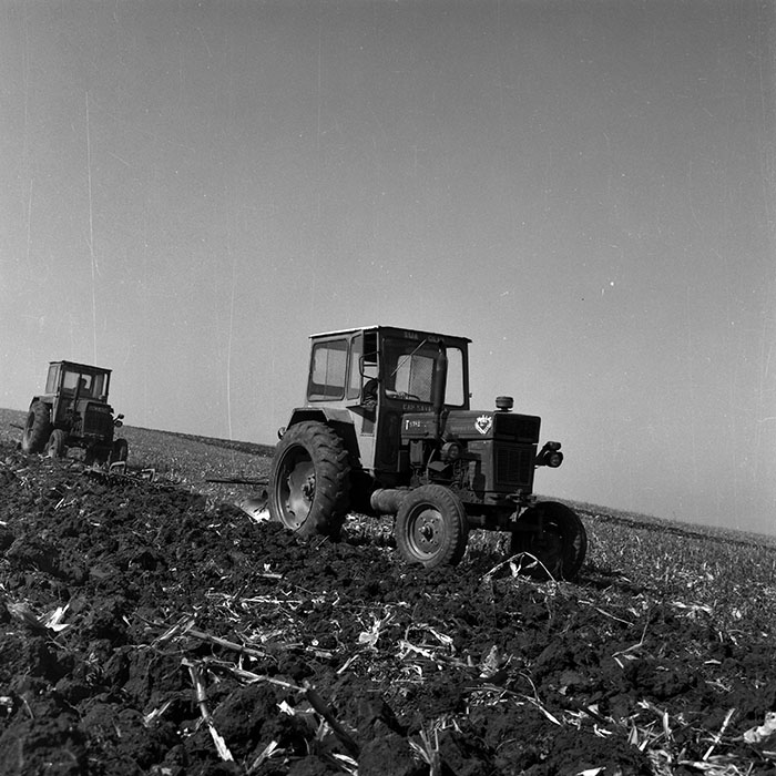 minerva_Agrar_c1_c1r4_027