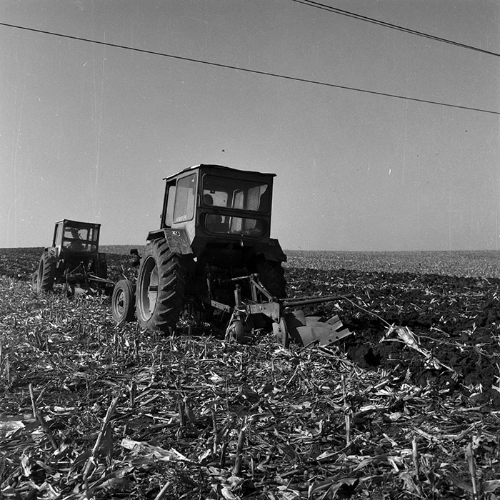 minerva_Agrar_c1_c1r4_028