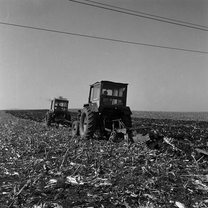 minerva_Agrar_c1_c1r4_029