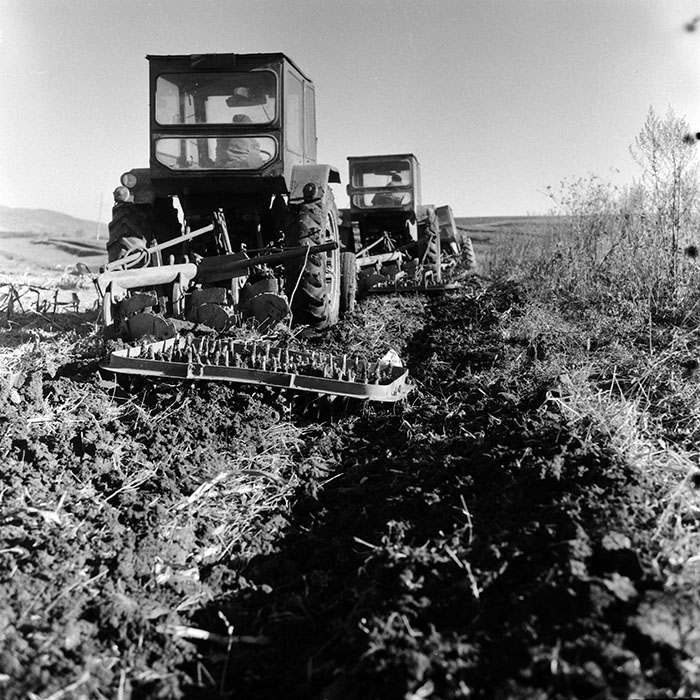 minerva_Agrar_c1_c1r4_037