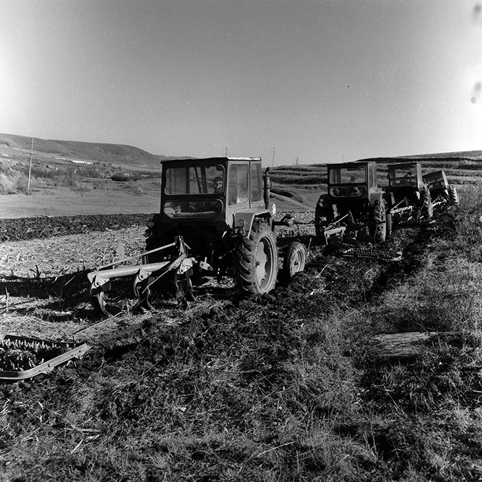 minerva_Agrar_c1_c1r4_039