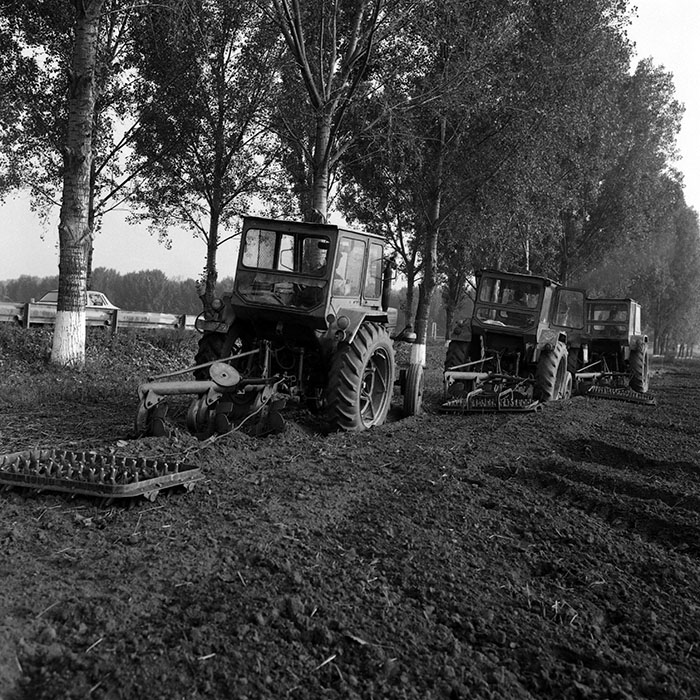 minerva_Agrar_c1_c1r4_042