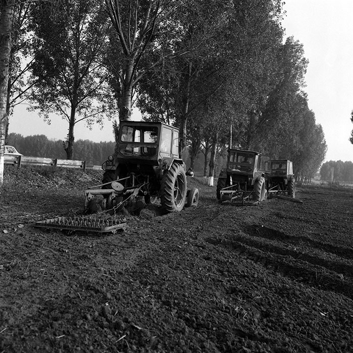 minerva_Agrar_c1_c1r4_043