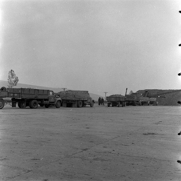 minerva_Agrar_c1_c1r5_004