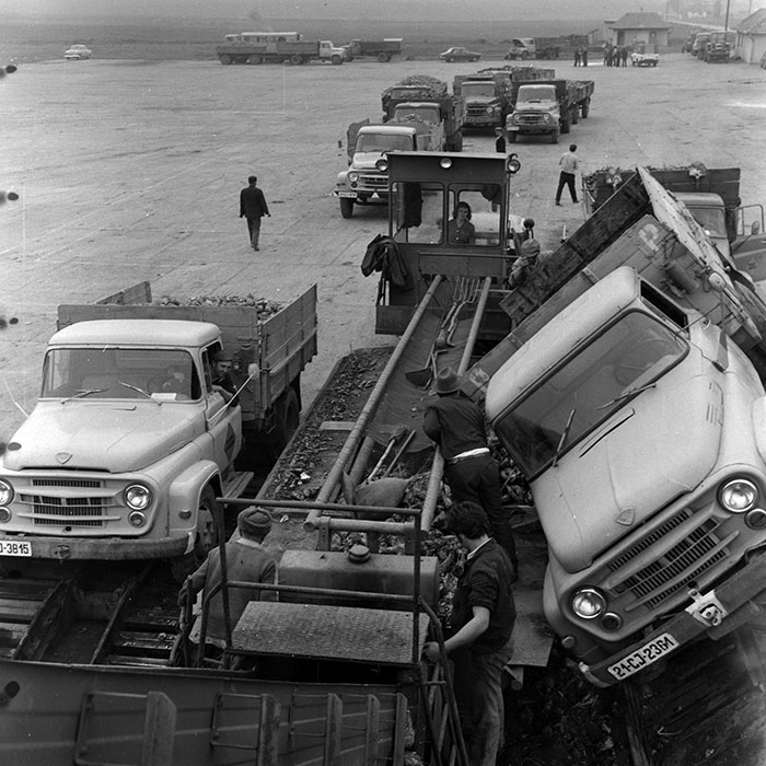 minerva_Agrar_c1_c1r5_007