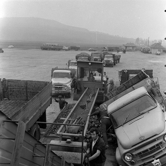 minerva_Agrar_c1_c1r5_009