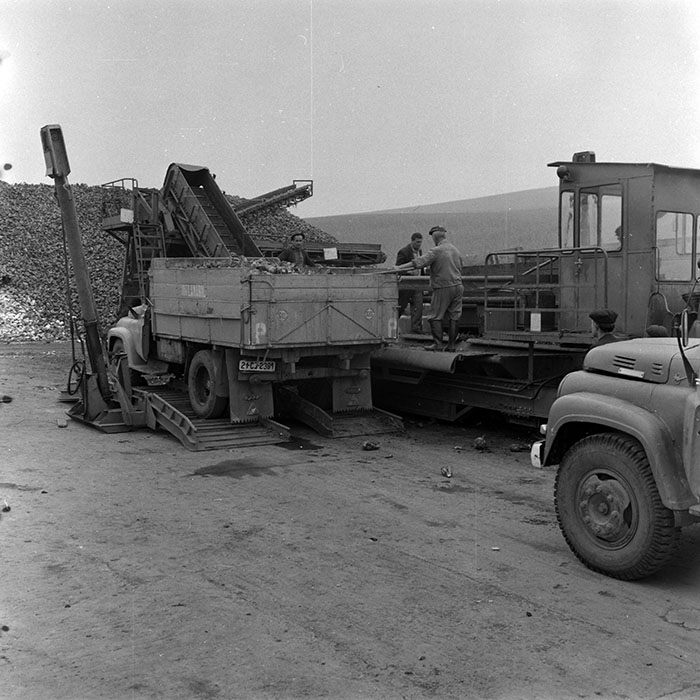 minerva_Agrar_c1_c1r5_010