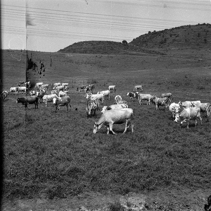 minerva_Agrar_c1_c2r1_001