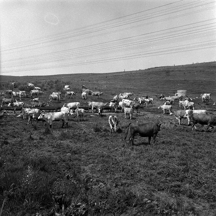 minerva_Agrar_c1_c2r1_002