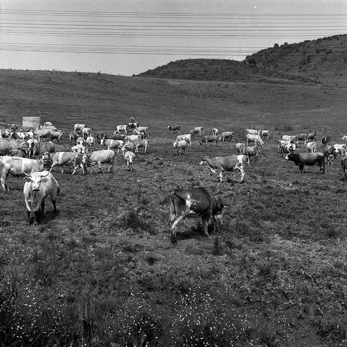 minerva_Agrar_c1_c2r1_003