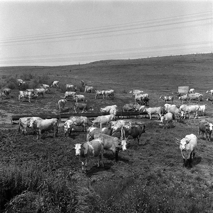 minerva_Agrar_c1_c2r1_005