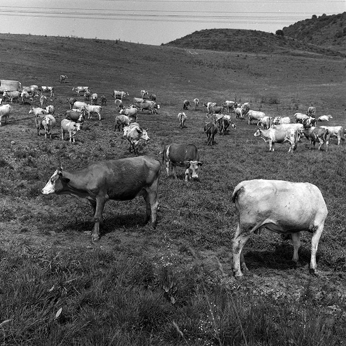 minerva_Agrar_c1_c2r1_006