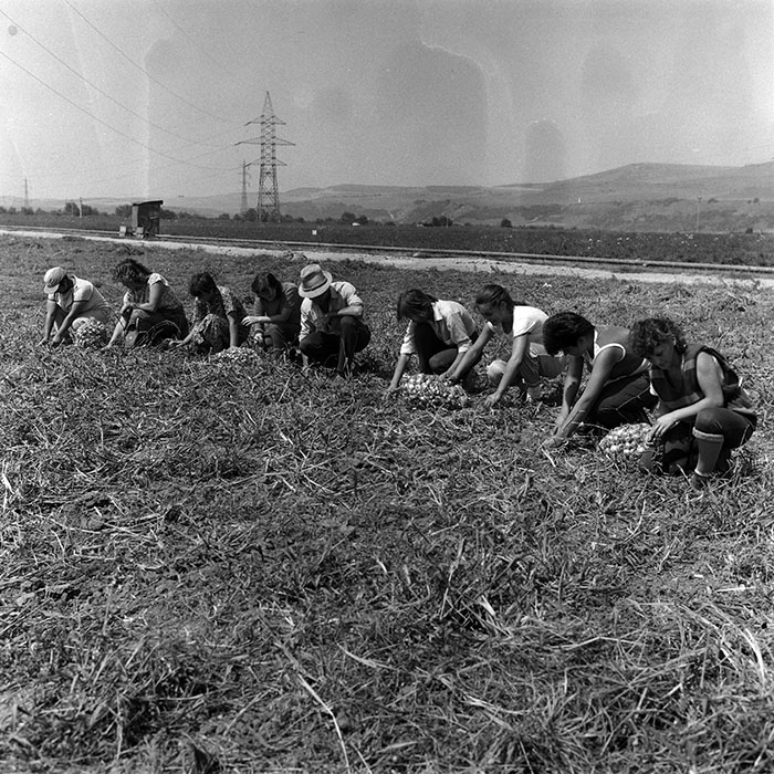 minerva_Agrar_c1_c2r2_001