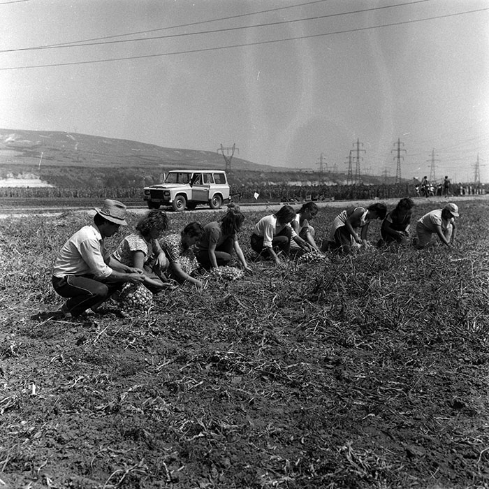 minerva_Agrar_c1_c2r2_003