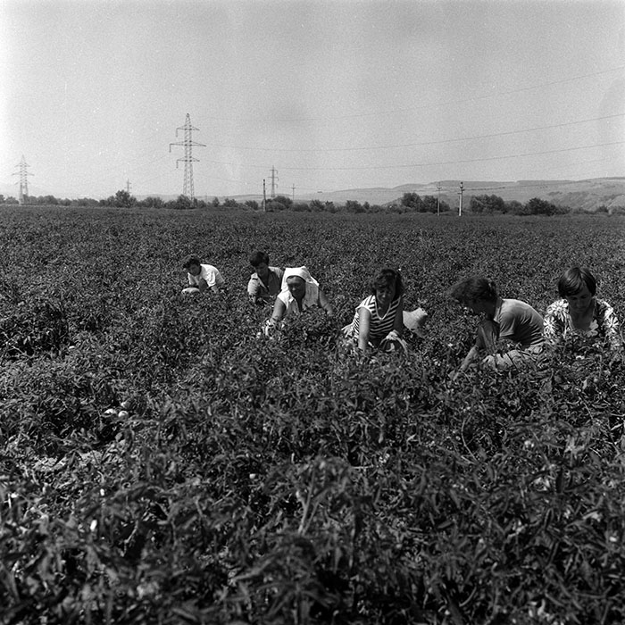 minerva_Agrar_c1_c2r2_008