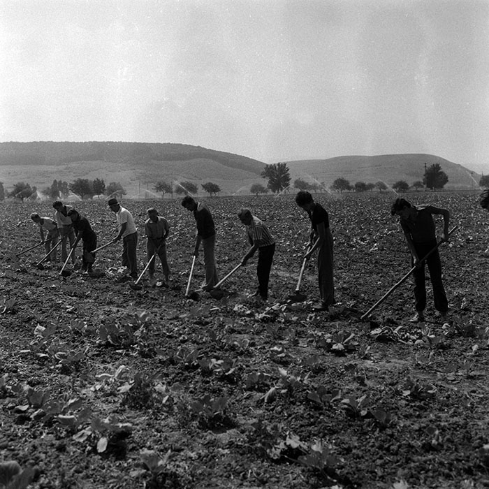 minerva_Agrar_c1_c2r2_011