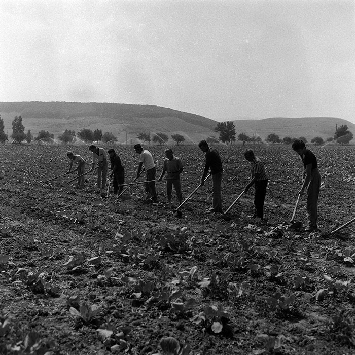 minerva_Agrar_c1_c2r2_012