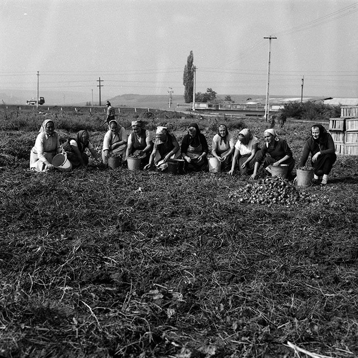 minerva_Agrar_c1_c2r2_013