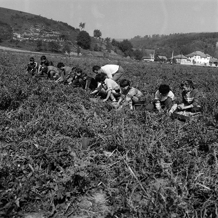 minerva_Agrar_c1_c2r2_016