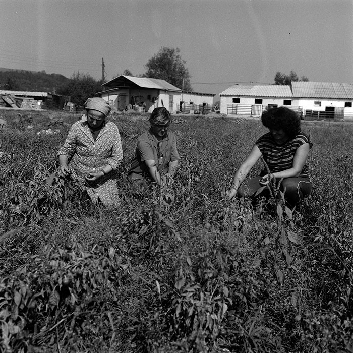 minerva_Agrar_c1_c2r2_017