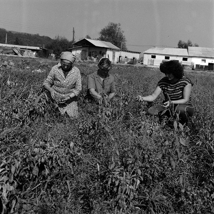 minerva_Agrar_c1_c2r2_018