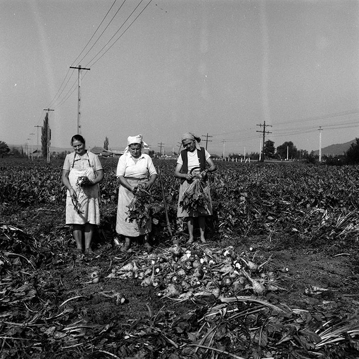 minerva_Agrar_c1_c2r2_019