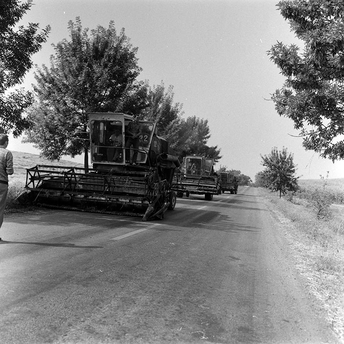 minerva_Agrar_c1_c2r3_001