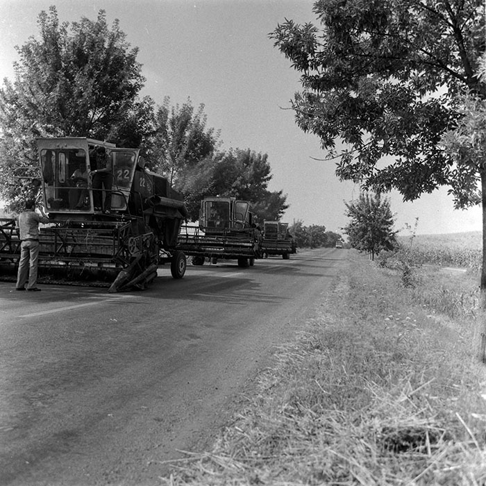 minerva_Agrar_c1_c2r3_002