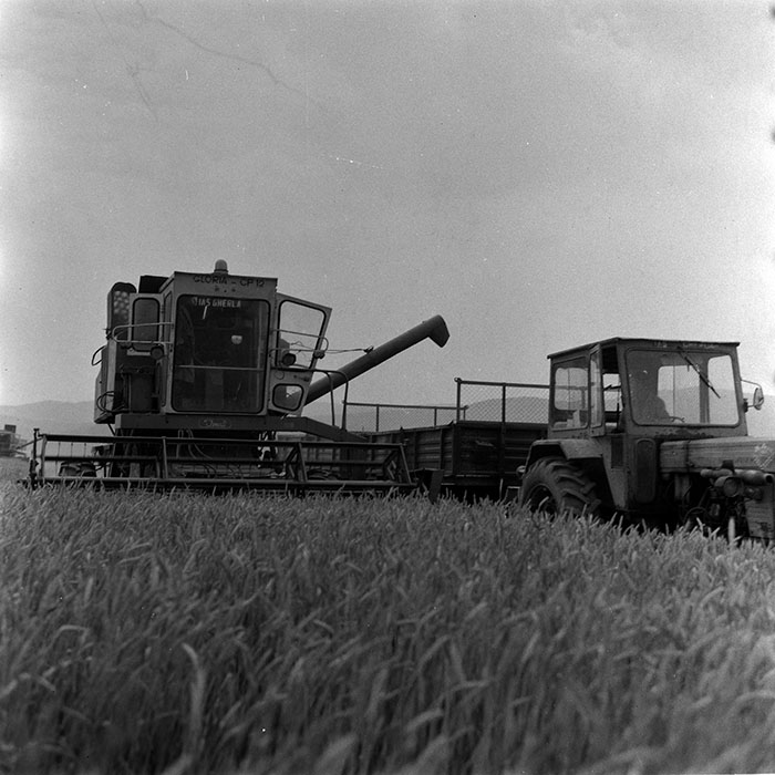 minerva_Agrar_c1_c2r3_008