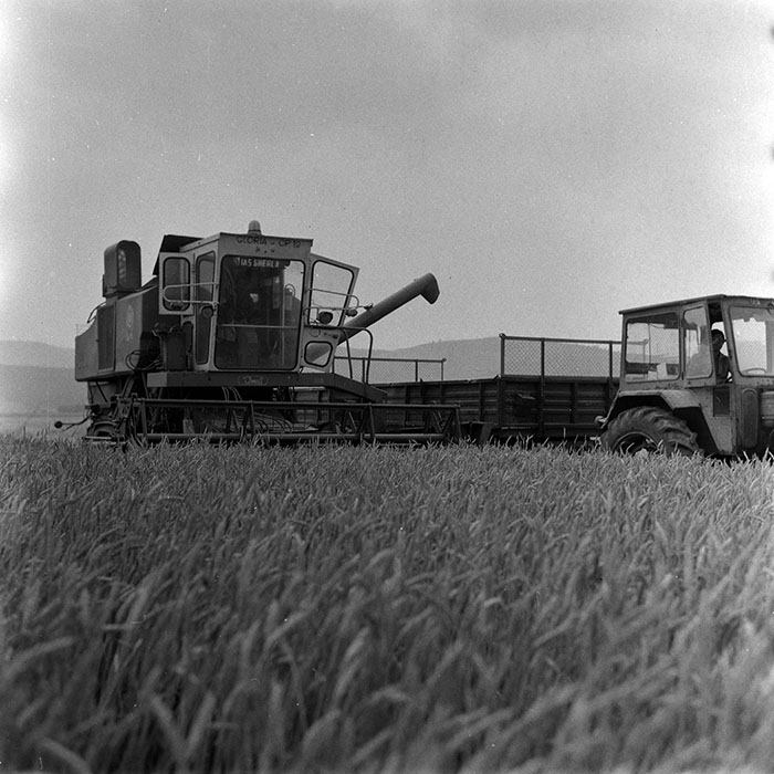 minerva_Agrar_c1_c2r3_009