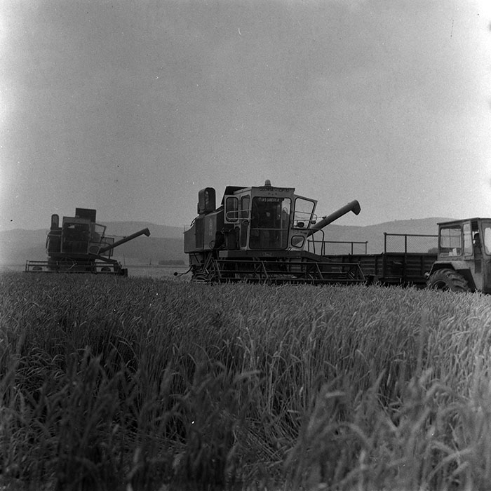 minerva_Agrar_c1_c2r3_010