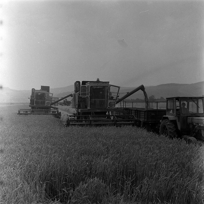 minerva_Agrar_c1_c2r3_012