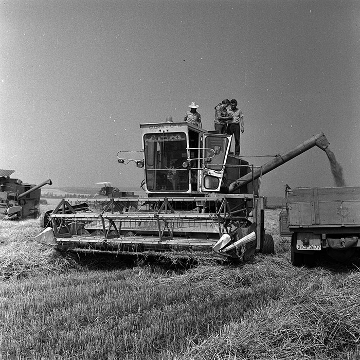 minerva_Agrar_c1_c2r3_016