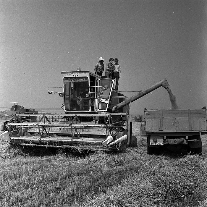 minerva_Agrar_c1_c2r3_017