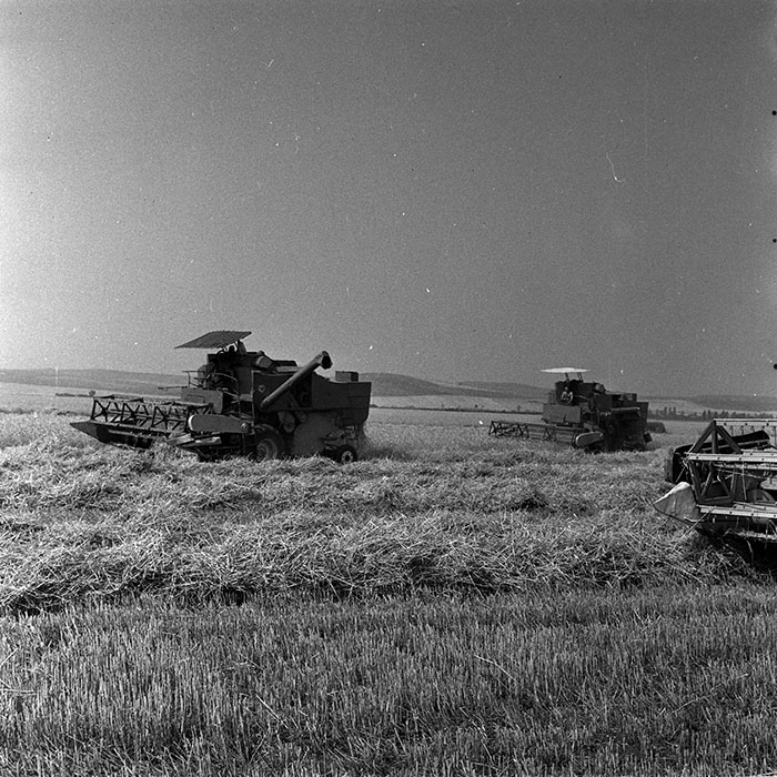 minerva_Agrar_c1_c2r3_018