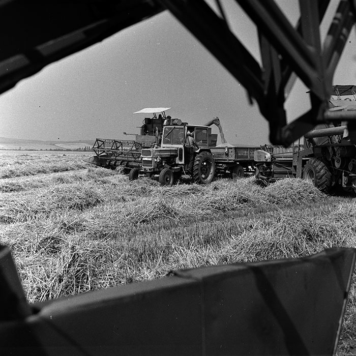 minerva_Agrar_c1_c2r3_021