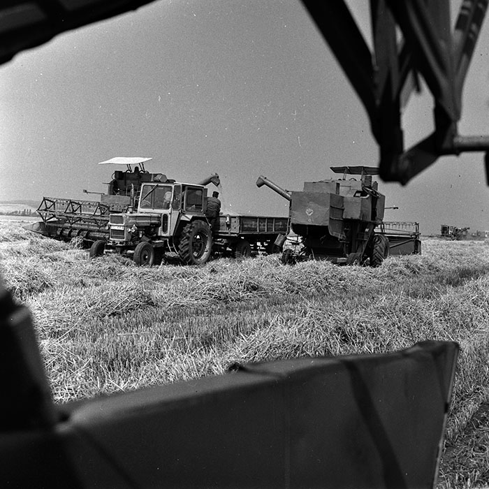 minerva_Agrar_c1_c2r3_022