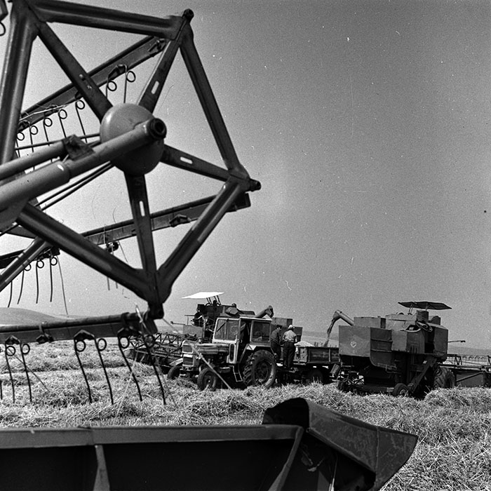 minerva_Agrar_c1_c2r3_023