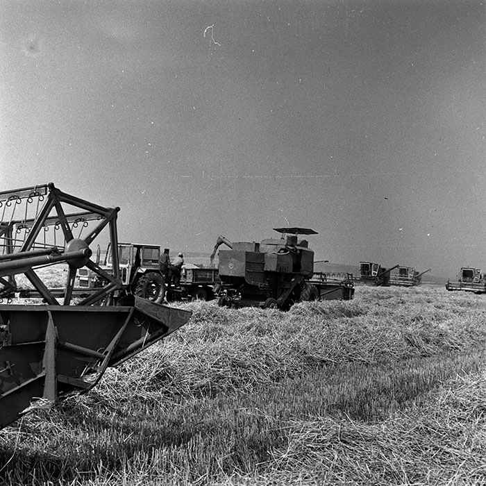 minerva_Agrar_c1_c2r3_024