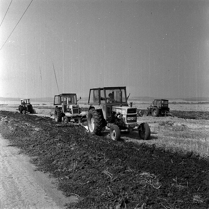 minerva_Agrar_c1_c2r3_025