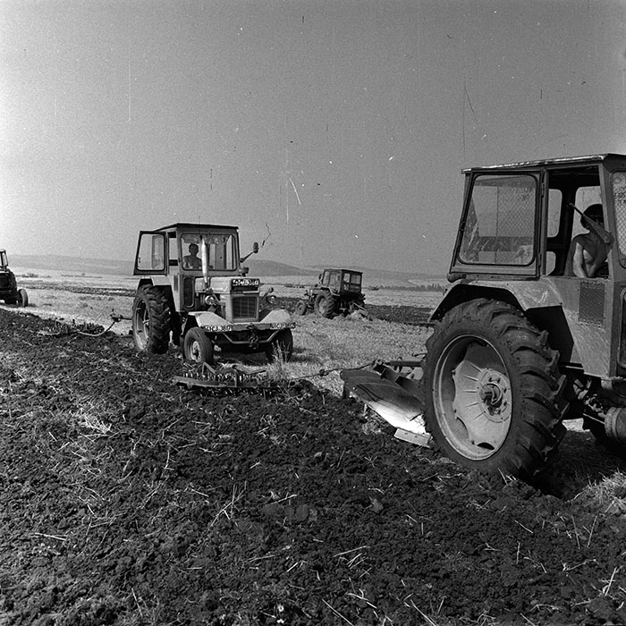 minerva_Agrar_c1_c2r3_026