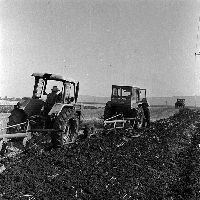 minerva_Agrar_c1_c2r3_027