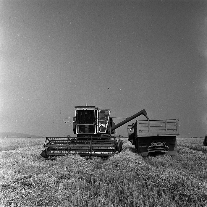 minerva_Agrar_c1_c2r3_029