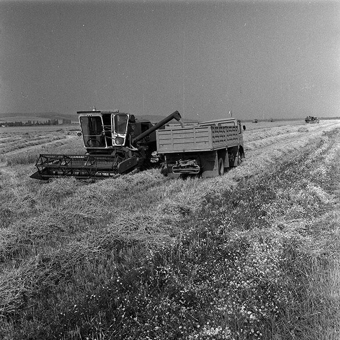 minerva_Agrar_c1_c2r3_030